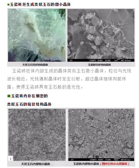 币游·国际(中国游)官方网站