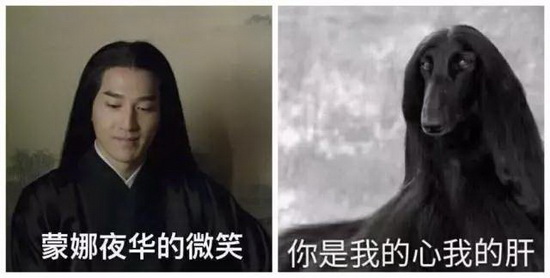 币游·国际(中国游)官方网站