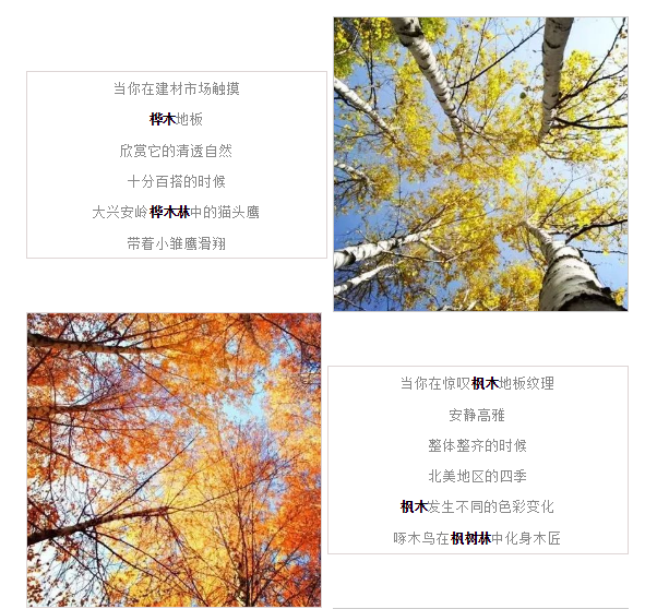 币游·国际(中国游)官方网站