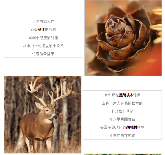 币游·国际(中国游)官方网站