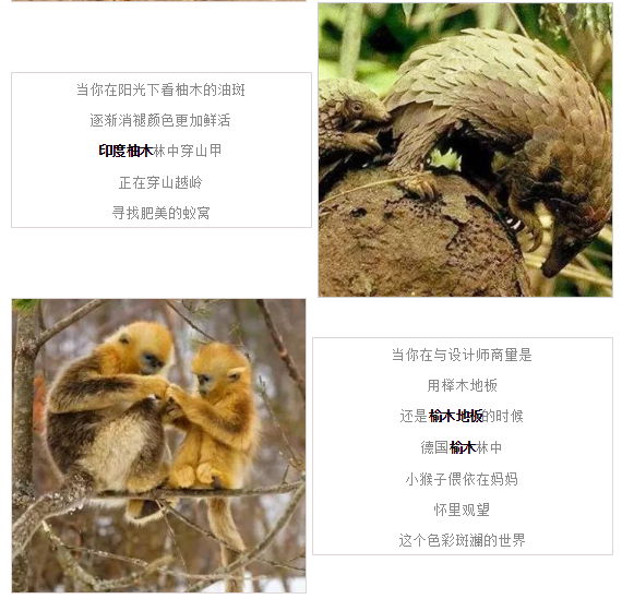 币游·国际(中国游)官方网站