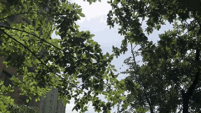 币游陶瓷