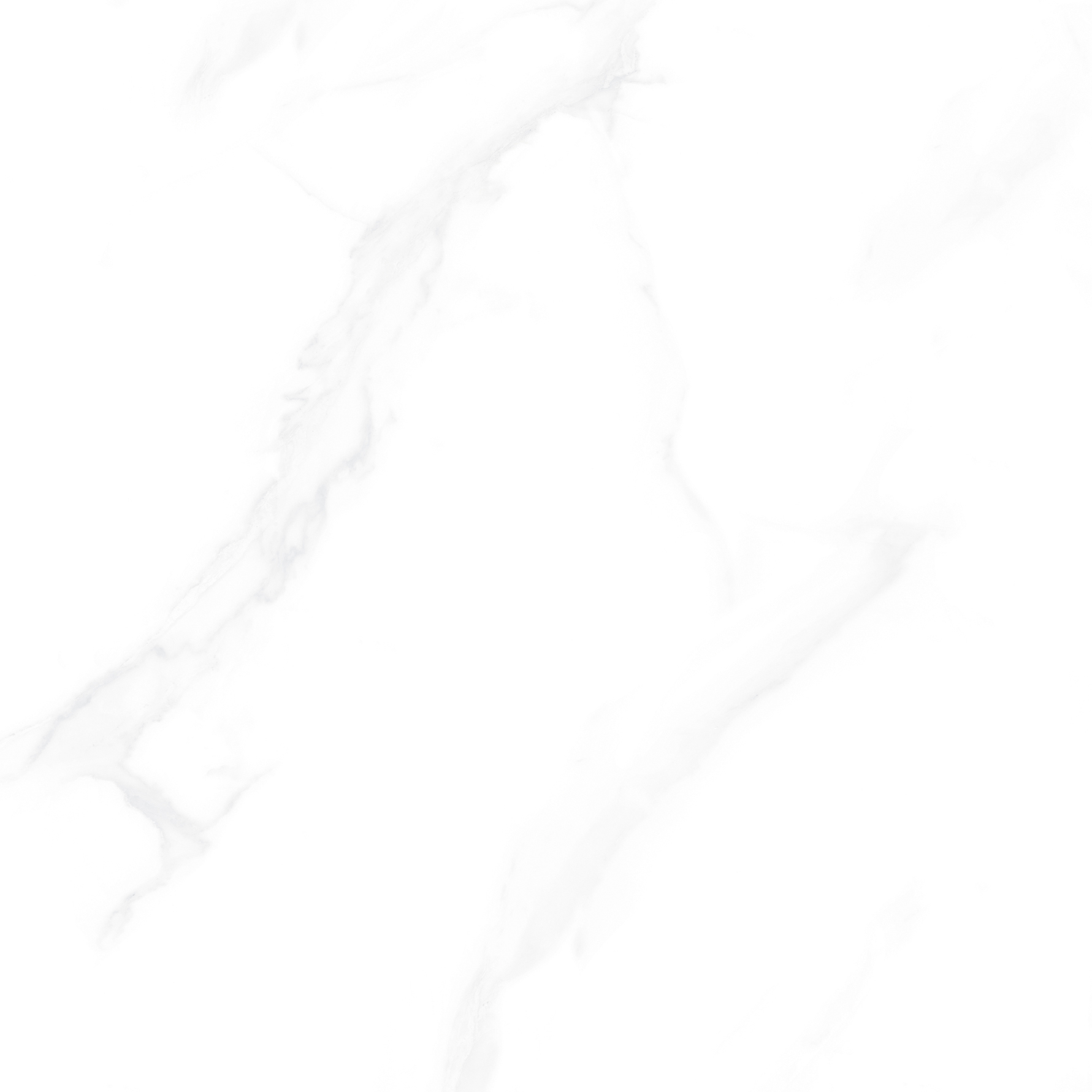 TPACM80-1503（5）