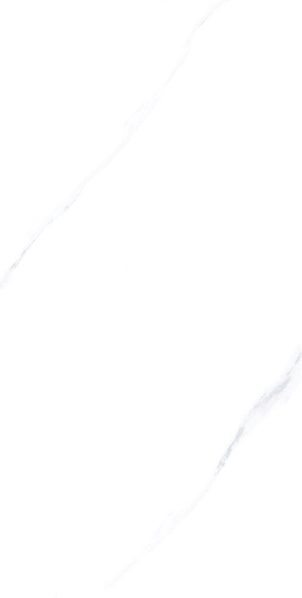 TPGR84001