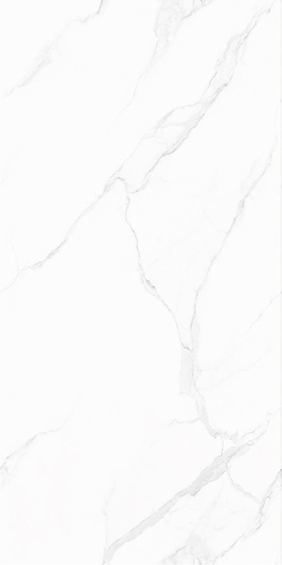 币游·国际(中国游)官方网站