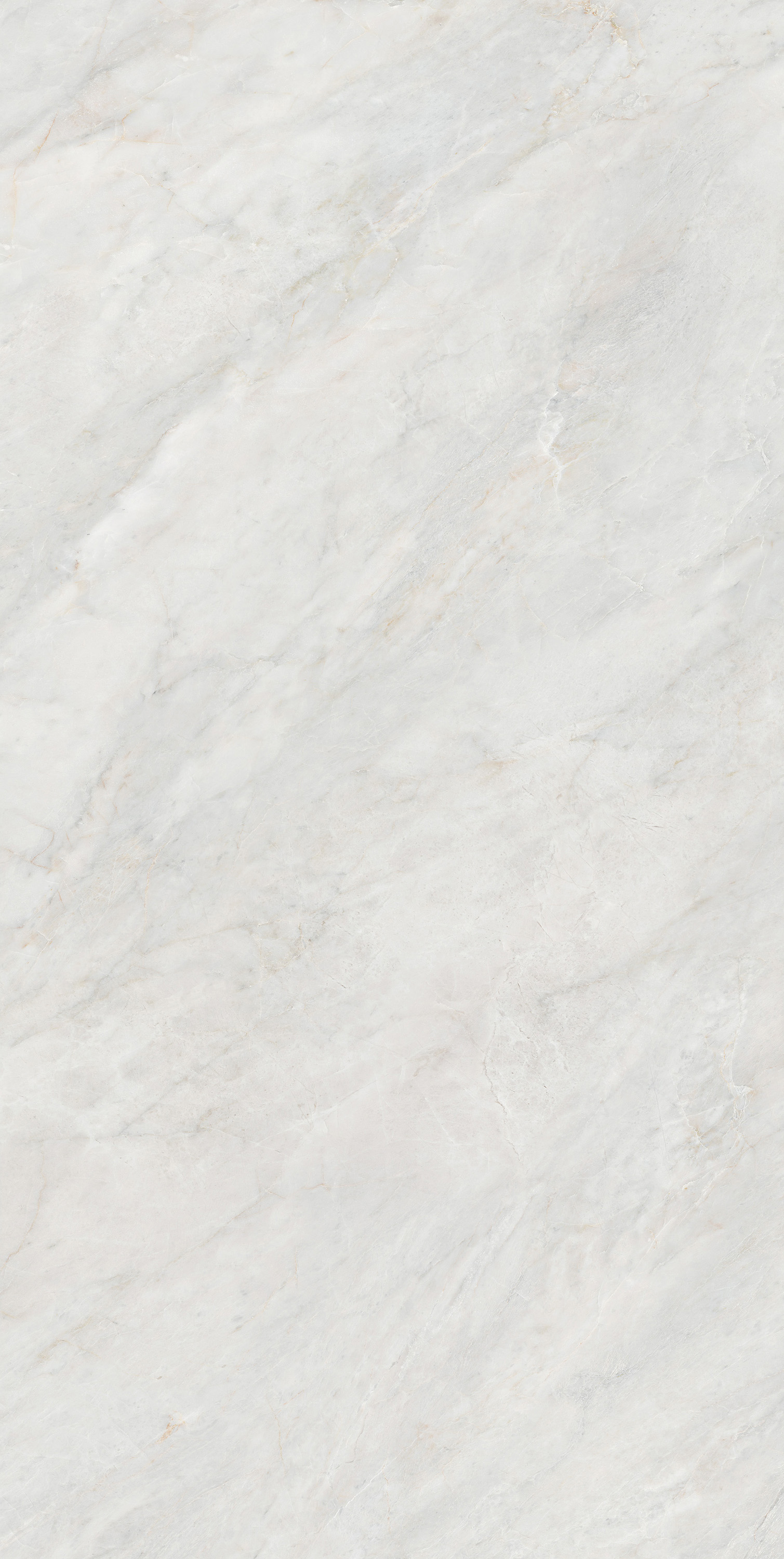 币游·国际(中国游)官方网站