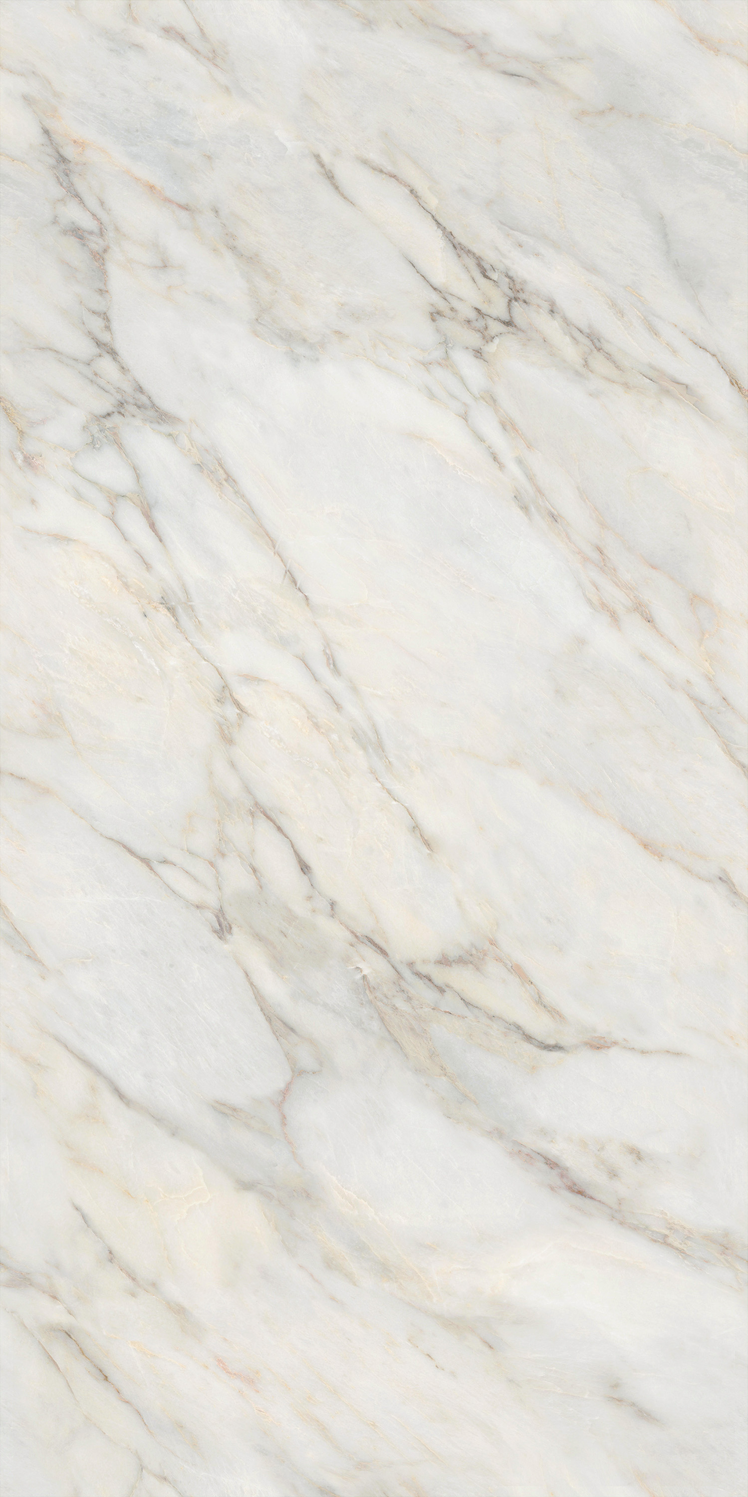 币游·国际(中国游)官方网站